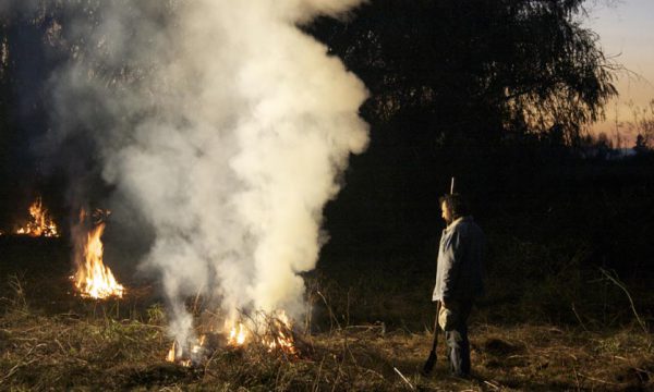 Image du film Prés du feu