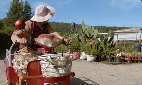 Image du film LES CHANTS DE L’OUBLI