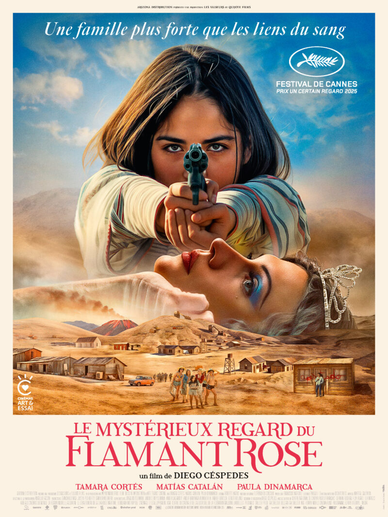 LE MYSTÉRIEUX REGARD DU FLAMANT ROSE - Affiche