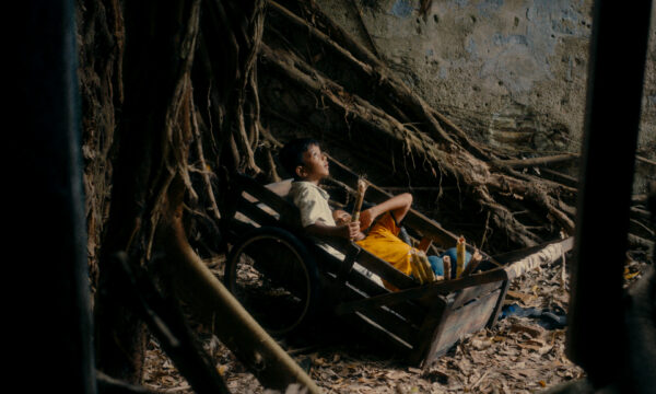 Image du film LES FLEURS DU MANGUIER