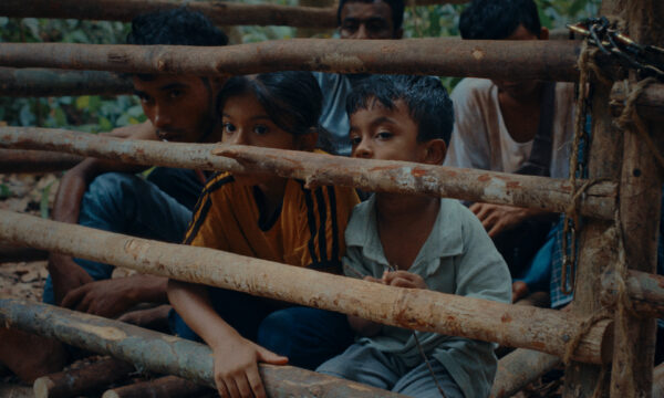 Image du film LES FLEURS DU MANGUIER