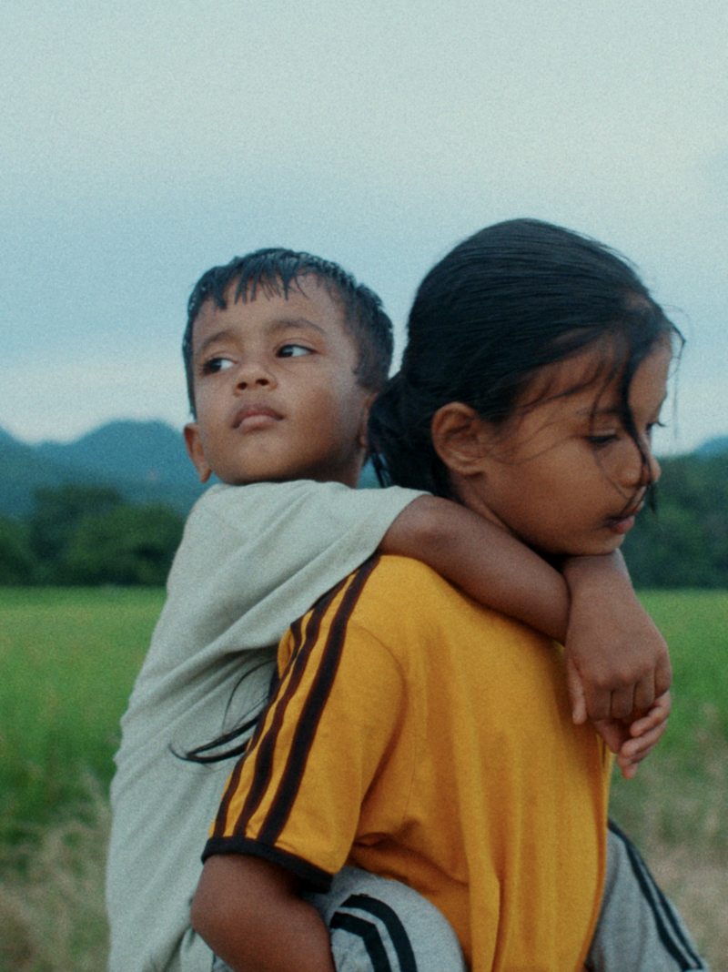 LES FLEURS DU MANGUIER - Affiche