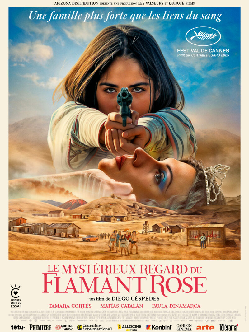 LE MYSTÉRIEUX REGARD DU FLAMANT ROSE - Affiche