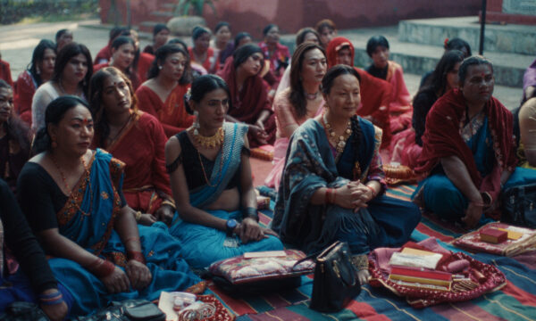 Image du film LES ÉLÉPHANTS DANS LA BRUME