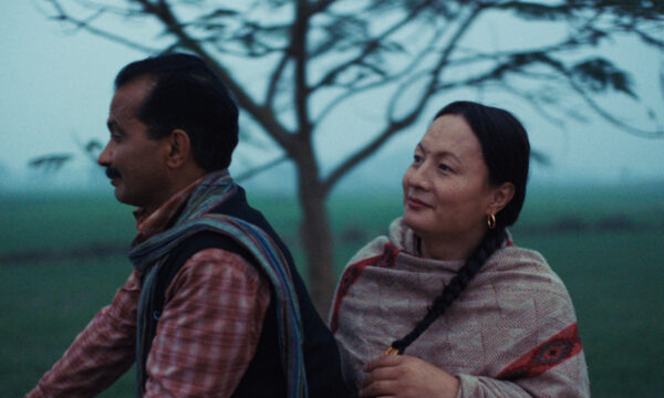 Image du film LES ÉLÉPHANTS DANS LA BRUME