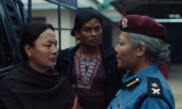 Image du film LES ÉLÉPHANTS DANS LA BRUME