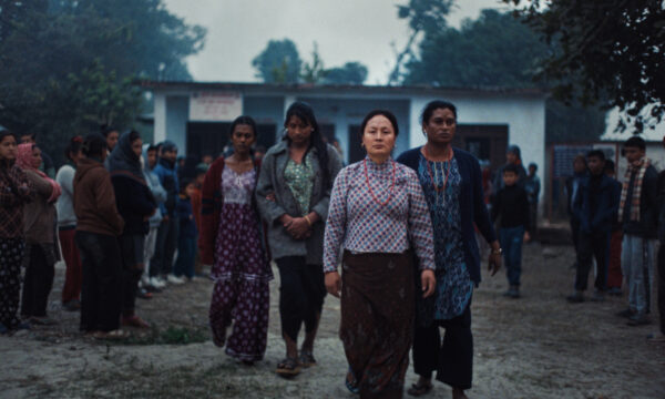 Image du film LES ÉLÉPHANTS DANS LA BRUME