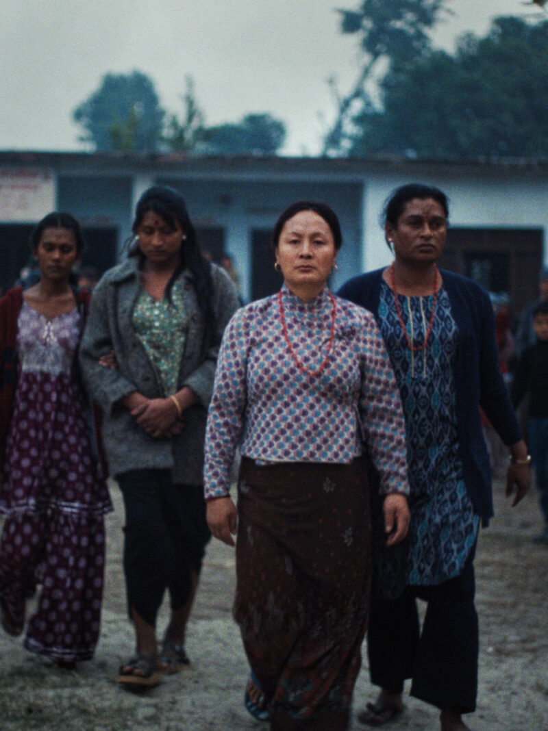 LES ÉLÉPHANTS DANS LA BRUME - Affiche