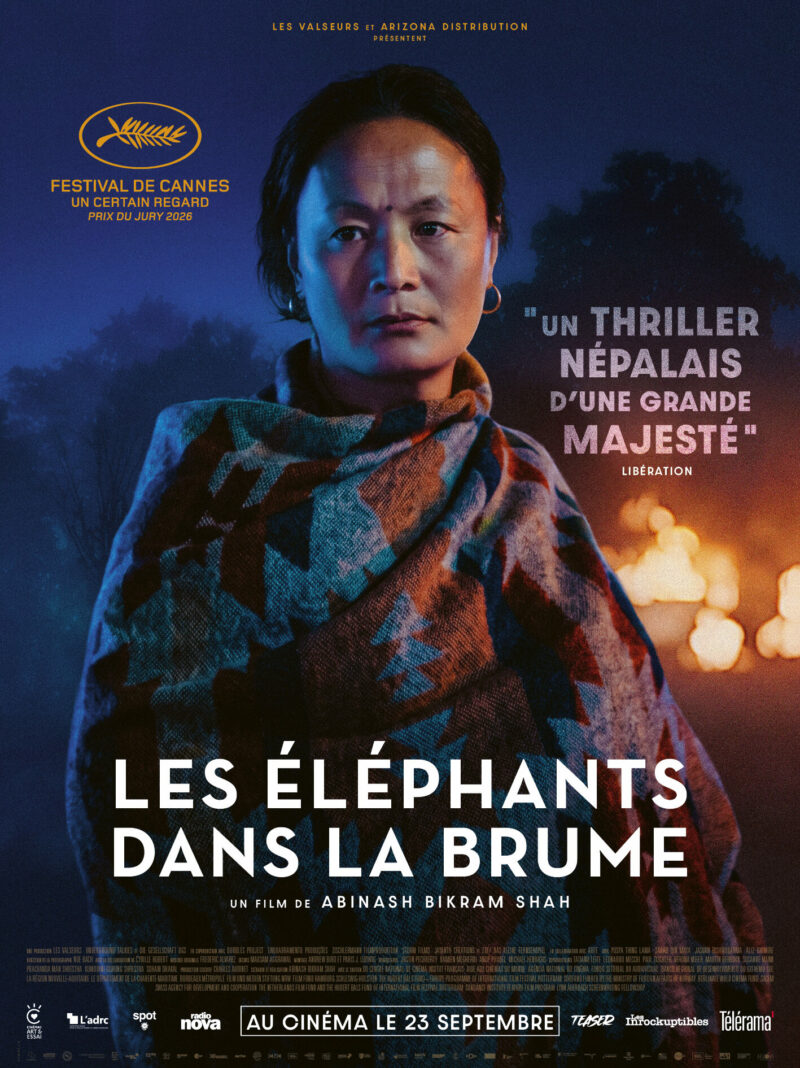 LES ÉLÉPHANTS DANS LA BRUME - Affiche