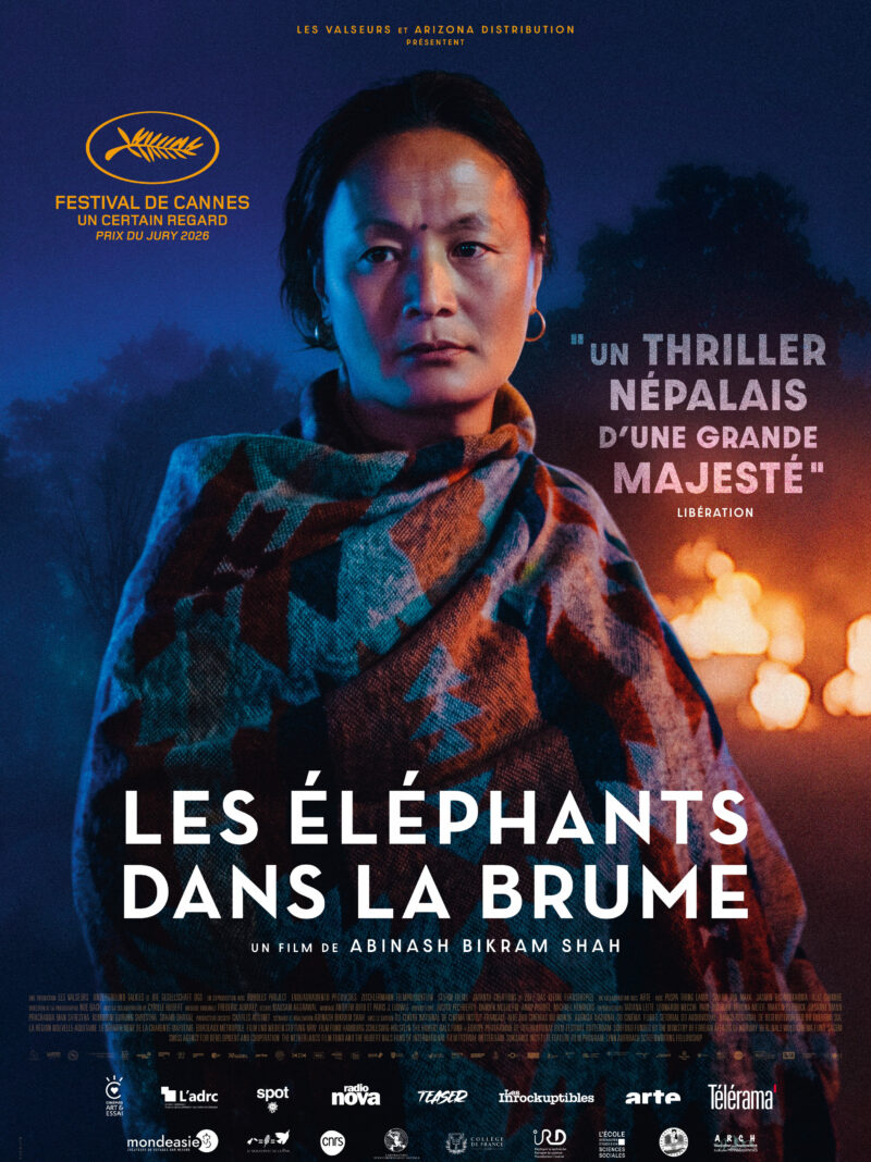 LES ÉLÉPHANTS DANS LA BRUME - Affiche
